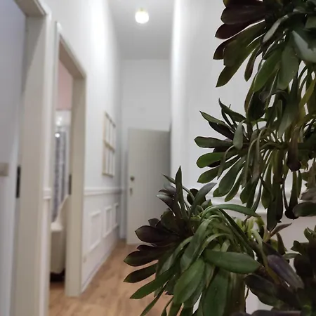 Apartman Casa Belvedere *