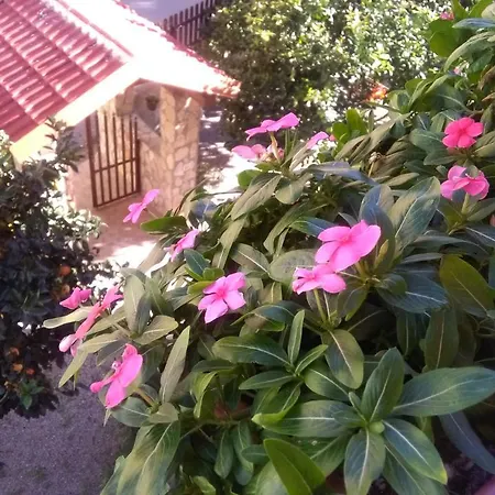 Apartman Casa Belvedere *